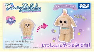 【トリミングペットサロン】　いっしょにカットアレンジしてみよう！～ふんわりベビーカット～