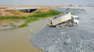 Good job on the project with the Dump Trucks dumping rocks into the water with the Wheel Loader push