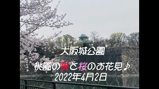 2022年お花見♪大阪城　造幣局