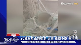 26歲妻登革熱重症病危 夫控「雜草不除」孳生病媒蚊｜TVBS新聞 @TVBSNEWS02