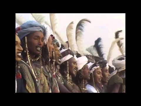 When were camels brought to Africa from Asia?