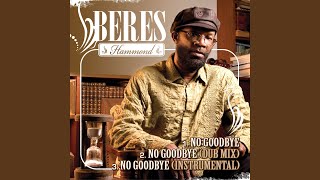 No Goodbye