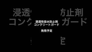 コンクリートガード塗装後