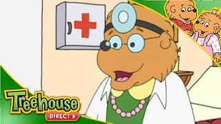 The Berenstain Bears | Getting Sick