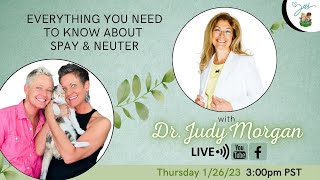 What To Know About Spaying & Neutering Cats with Dr. Judy Morgan | Two Crazy Cat Ladies