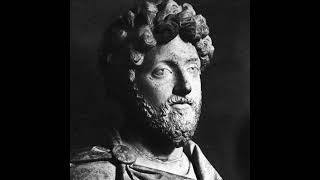 Freedom & Indifference in Marcus Aurelius - Objections to Stoicism