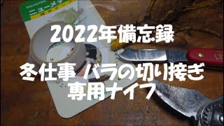 2022年備忘録 冬仕事 バラの切り接ぎ 専用ナイフ（作業については説明欄を）