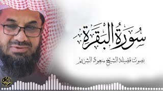 سورة البقرة كاملة بدون اعلانات فضيلة الشيخ سعود الشريم surah baqarah saud shuraim