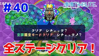 全てのステージをクリアしちゃいました【塊魂トリビュート トロコン道＃４０】