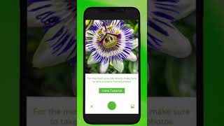 PlantSnap iPhone instructional video vertical 2018