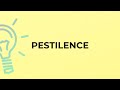 What is the meaning of the word PESTILENCE?