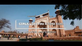 Girls Like You X Tere Bina || Slowed And Reverb || Jeffrey Iqbal