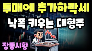 장중시황] 11/13 투매에 추가하락세 지속 / 외인매도 지속중 / 삼전보다 더 빠지는 종목들, 수급은 언제쯤 돌아올까?