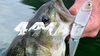 Swimbait Bass Fishing - Rob Jordan 44 MAG Blueback Herring Swimbait