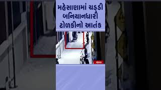 #mehsana માં ચડ્ડી બનિયાનધારી ટોળકીનો આતંક | #gujarat #shorts #tv9gujarati