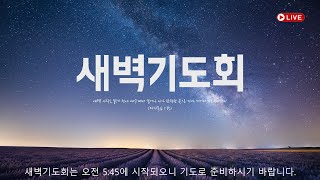 구미시민교회 2024년 11월 1일 새벽기도회