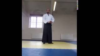 Iaido practice