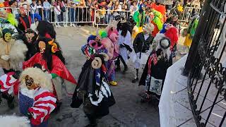 víbora de la mar- banda Reyes del Carnaval 2024 La estancia San Juan del Río