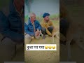 ताऊ का कुत्ता shorts trending shorts desicomedy foryou funnyvideo india