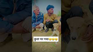 ताऊ का कुत्ता #shorts #trending #shorts #desicomedy #foryou #funnyvideo #india