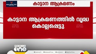 തമിഴ്നാട് നീലഗിരി ഗൂഡല്ലൂരിൽ കാട്ടാന ആക്രമണത്തില്‍ വൃദ്ധ കൊല്ലപ്പെട്ടു