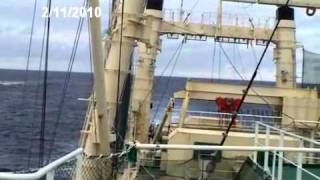 Sea Shepherd operation Waltzing Matilda (09-2010) montage