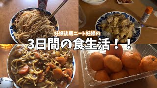 妊娠後期ニート妊婦の3日間の食生活が何食、食べるわけ？！？！