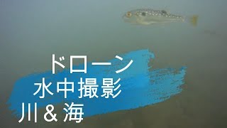 ドローン　アクションカメラ　水中撮影