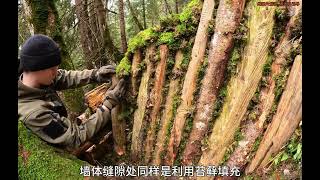 荒野建造之巨石旁的庇护所，全屋装饰的苔藓生机勃勃绿意盎然！