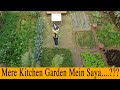 Sahiba's Kitchen Garden || Vlog || 16-02-2022