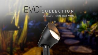 FX Luminaire Evo™ EW-31 Petite Wall Wash