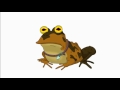 hypnotoad Гипножаба footage