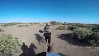 Limpopo Horse Riding Safari - Botswana September 2014.