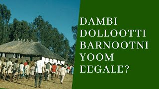 Seenaa Jalqabbii Barnoota Ammayyaa Dambi Dolloo