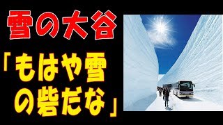 立山黒部アルペンルートの『雪の大谷』のSNSの投稿写真を見た海外の反応「クレイジー」