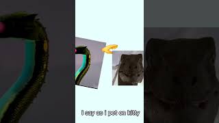 Never Trust Kitty