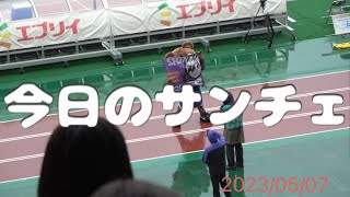 今日のサンチェ　サンフレッチェ広島vsアビスパ福岡 2023/05/07 エディオンスタジアム広島　LAST YEAR