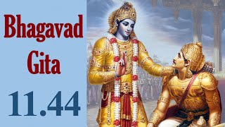 Bhagavad Gita 11.44 | Gita Chapter 11 Shloka 44 | Gita Shloka 458