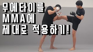 무에타이를 MMA에 적용하기![김대환 관장]