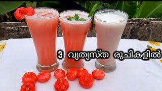 ചാമ്പക്ക കൊണ്ട് മൂന്നു വ്യത്യസ്ത ജ്യൂസ്/Rose apple/chambakka juice