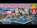 Tenerife 🏝️ Puerto de la Cruz 9 November 2024 Teneriffa