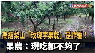 高級梨山「玫瑰李果乾」是詐騙!  果農:現吃都不夠了－民視新聞