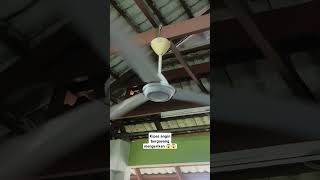 Kipas angin bergoyang #kipasangin #kipas #kdk #ceilingfan #toilet #quat #scary #falling #jatuh