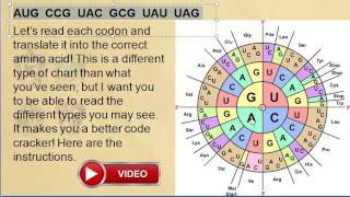 Week 7: Codon Chart