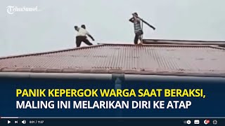 Panik Kepergok Warga saat Beraksi, Maling Ini Melarikan Diri ke Atap, Ancam Pakai Ketapel