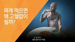 짜게 먹으면 왜 고혈압이 될까 - (2014.5.21_503회 방송)_먹고 또 먹고 식탐의 경고