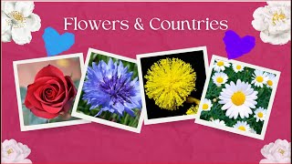 National Flowers: Exploring the Floral Emblems of Countries|Kids Learning| Colorful Flowers|Beginner