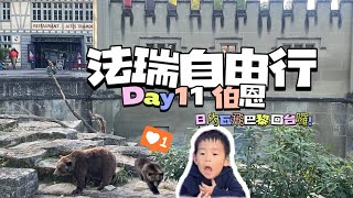 【法瑞自由行ep11】伯恩｜熊公園｜時鐘塔｜ 伯恩大教堂｜Day11 瑞法掰掰👋