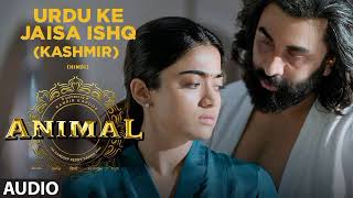 Urdu Ke Jaisa Ishq Song || From Animal Movie || Ranbir Kapoor , Rashmika || New song 2024