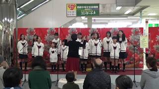 西部少年少女合唱団「赤鼻のトナカイ」サンズクリスマスコンサート①　2019/12/21